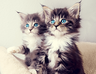 測繪CAD丨批量標(biāo)注坐標(biāo),你不需要嗎?